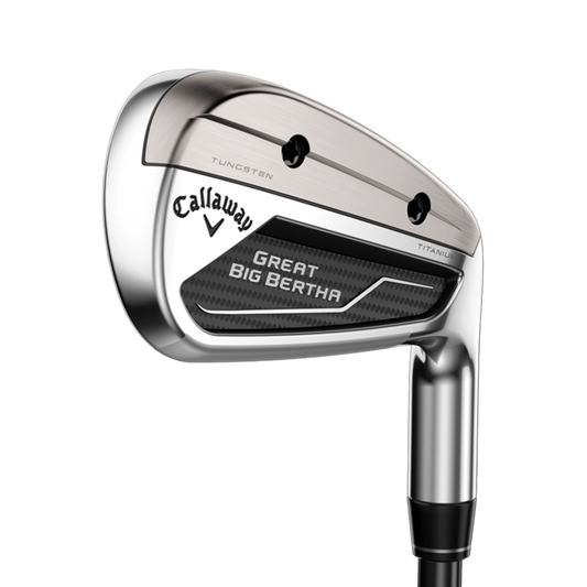 Great Big Bertha Irons 6PA