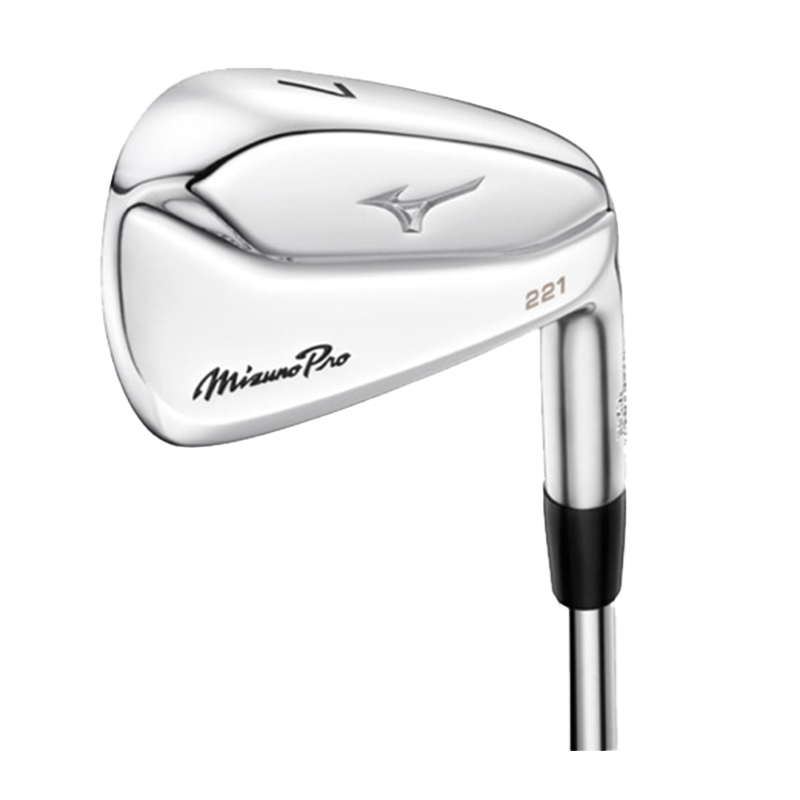 Mizuno Pro 221