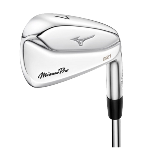 Mizuno Pro 221