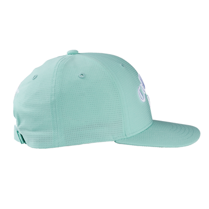 Performance Pro Cap - Mint/White