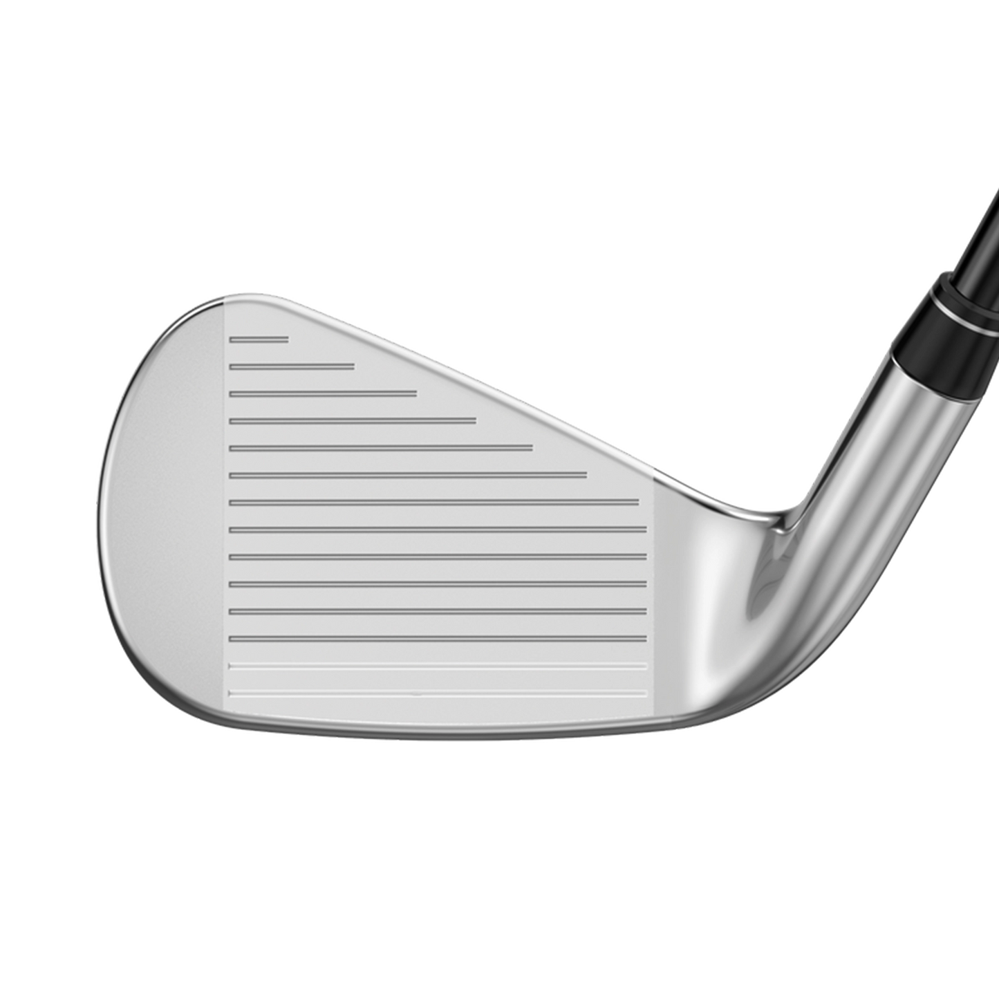 Great Big Bertha Irons 6PA