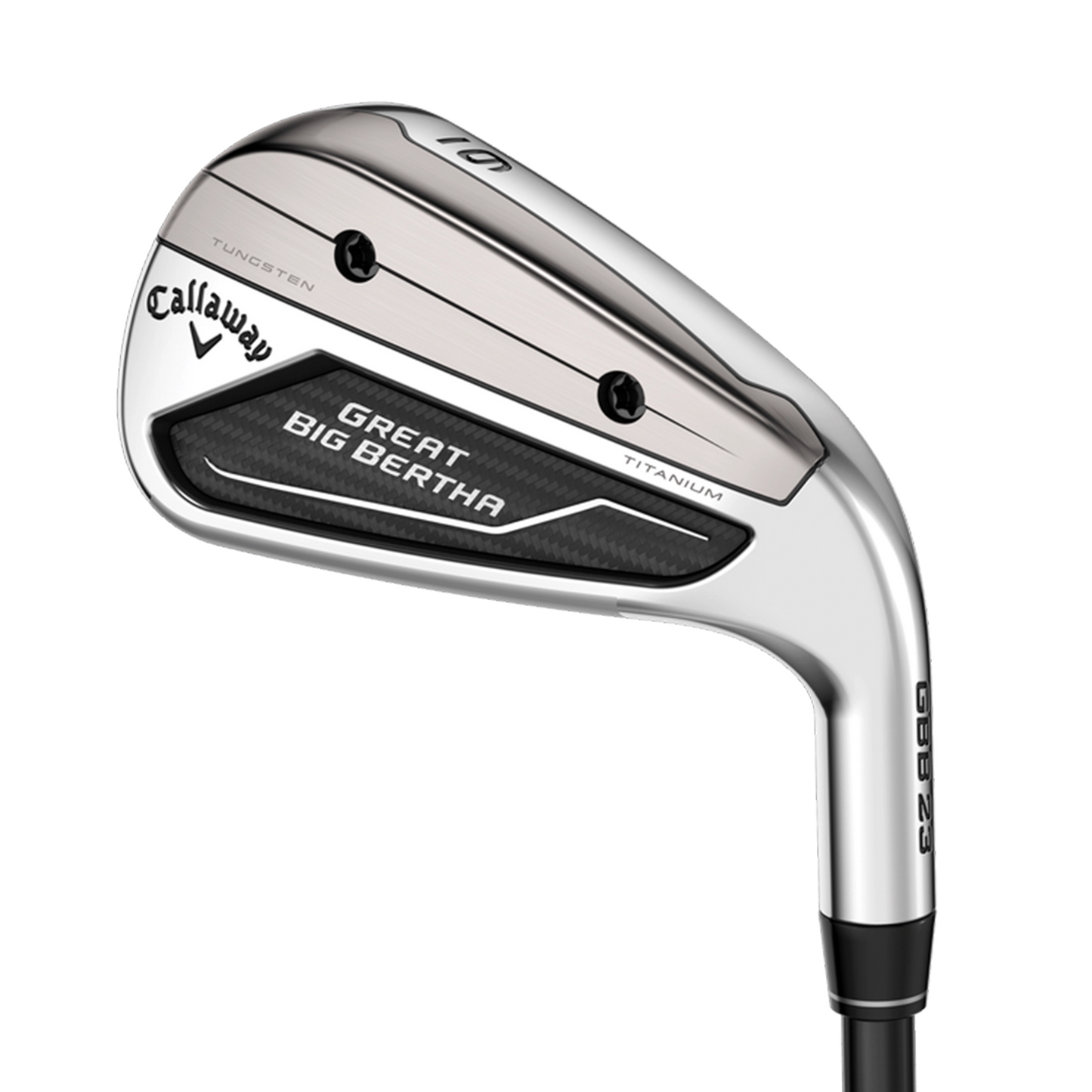 Great Big Bertha Irons 6PA